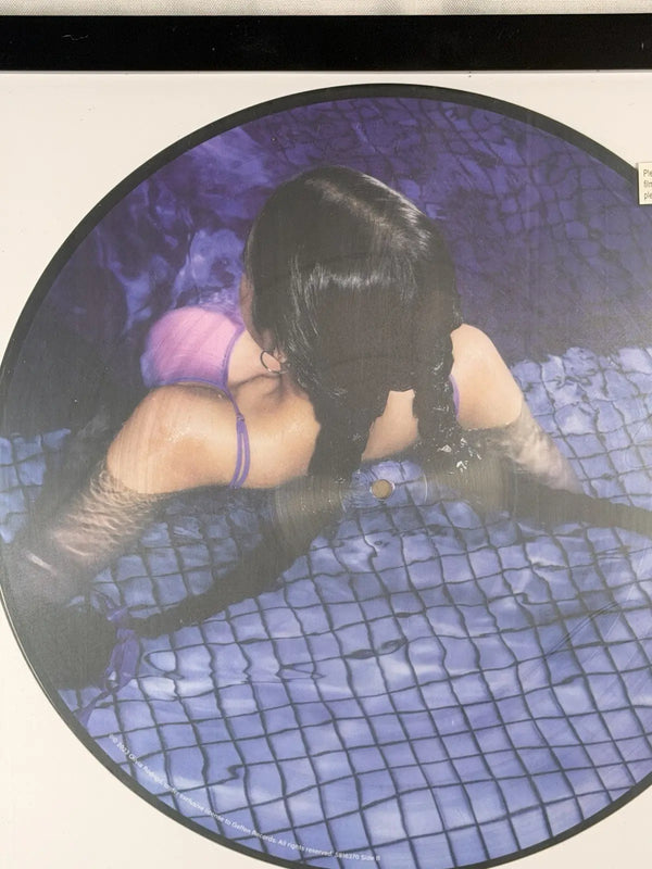 Olivia Rodrigo GUTS Limited Edition Purple Picture Disc Vinyl Framed Display 12"