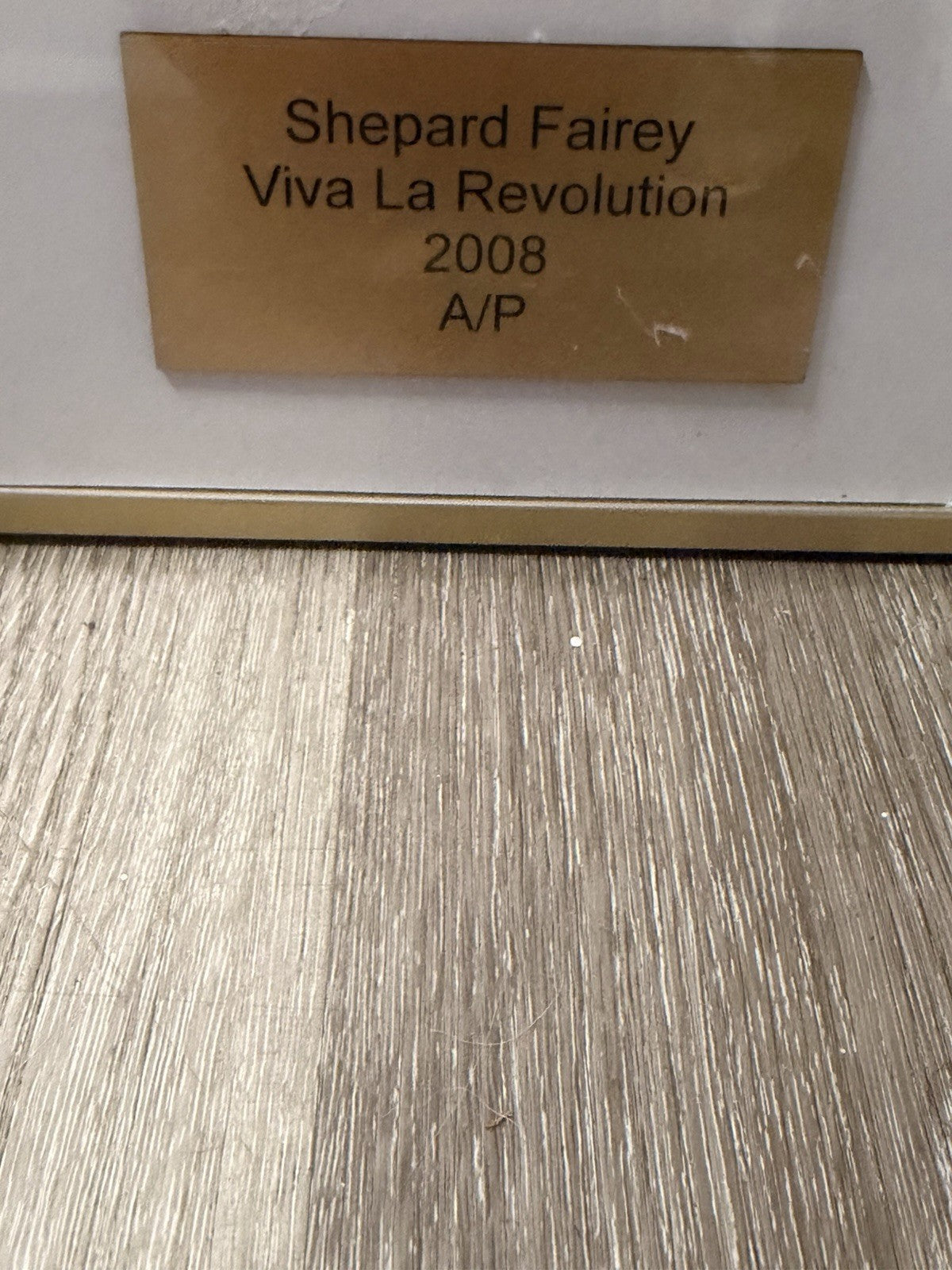 Shepard Fairey — “Vivi La Revolucion” — 2008 — Artist Proof (AP) Signed & Framed