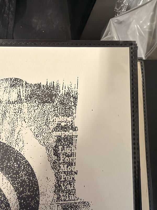Shepard Fairey Natural Springs 2017 Signed 140/400 DAMAGED Stencil OBEY 18x24 — listing photograph 6
