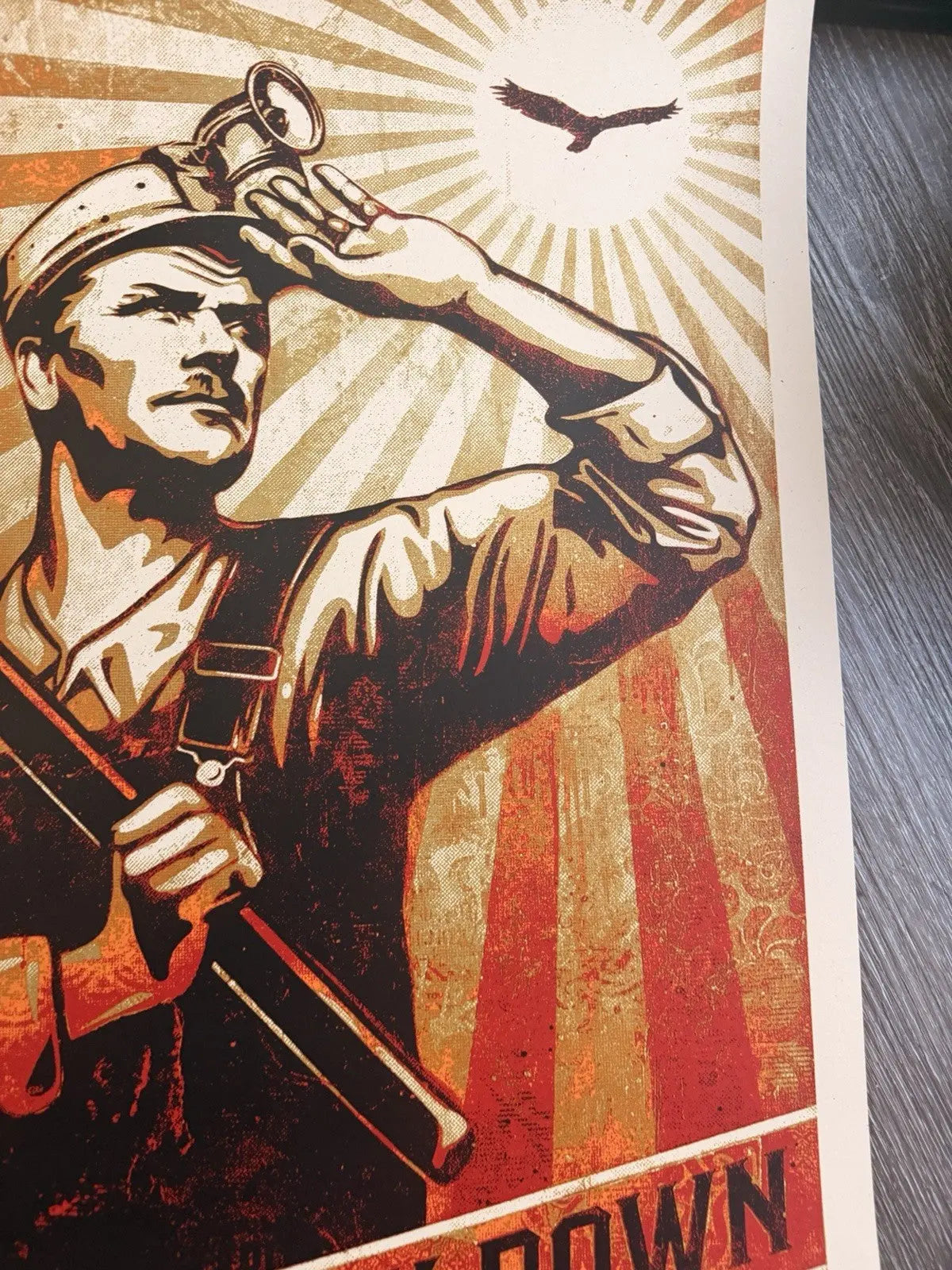 Shepard Fairery High Flyin' Bird,Does She Look Down  - Signed + Numbeered