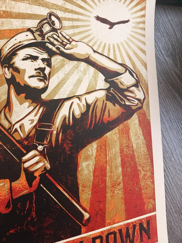 Shepard Fairery High Flyin' Bird,Does She Look Down  - Signed + Numbeered