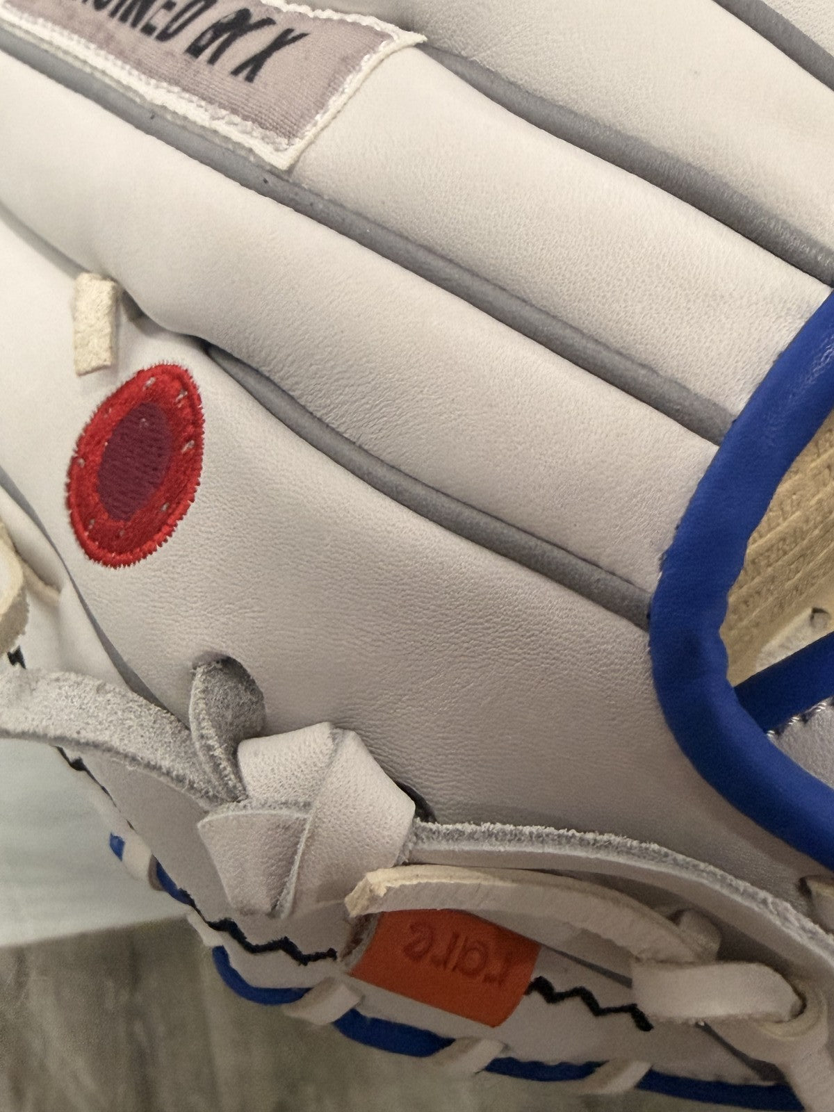 Absolutely Ridiculous Apollo 11 Mission Signed Baseball Glove Rare Edition COA