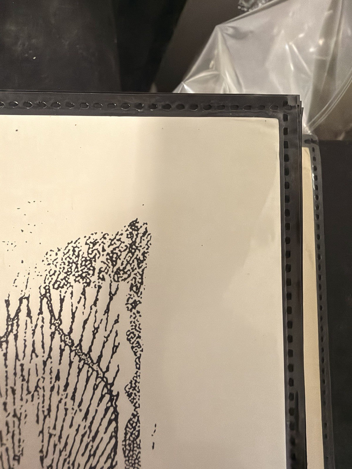 Shepard Fairey Freedom of Choice 2017 Signed 140/400 OBEY Damaged Stencil — listing photograph 10