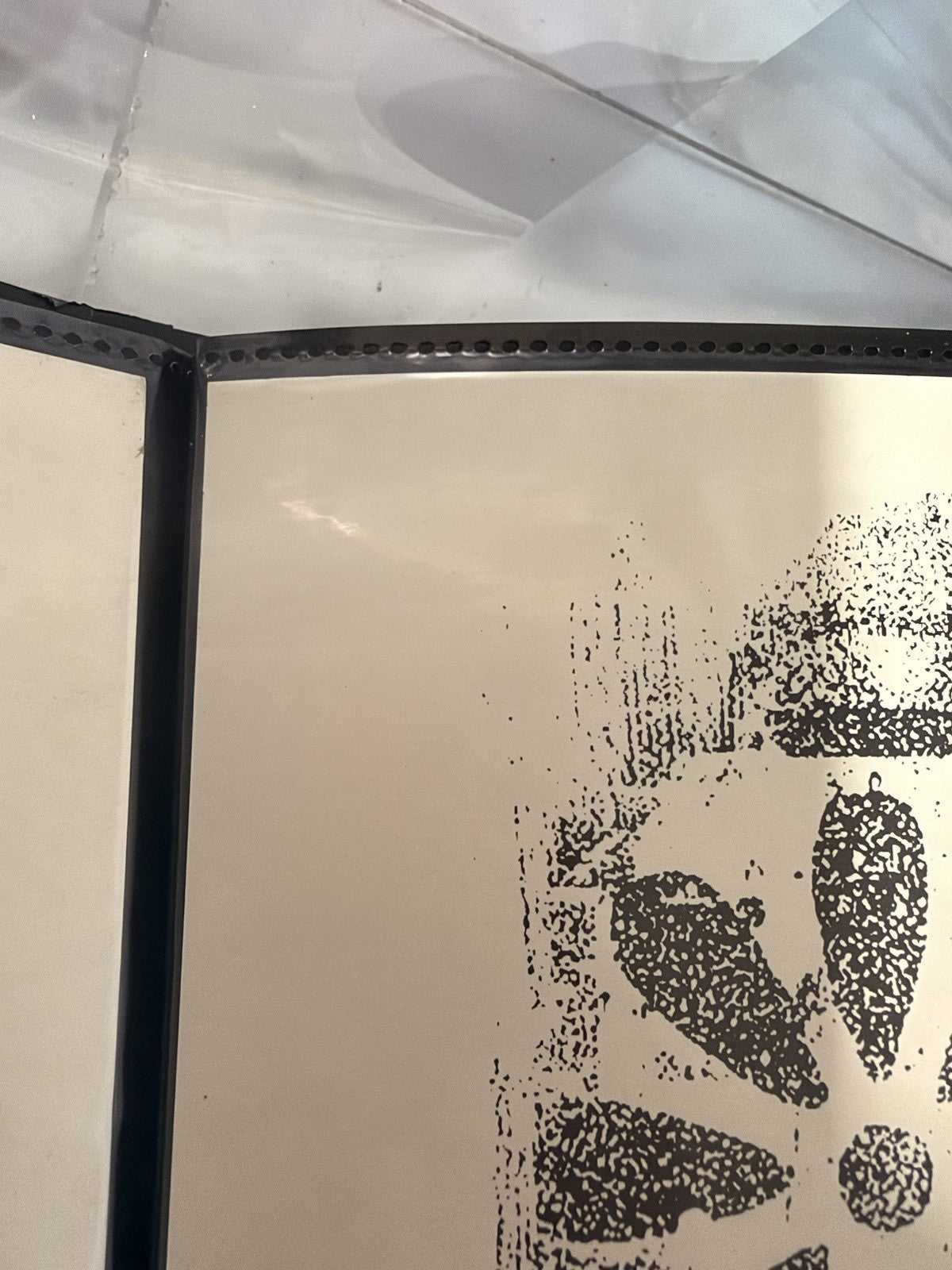 Shepard Fairey Natural Springs 2017 Signed 140/400 DAMAGED Stencil OBEY 18x24 — listing photograph 5
