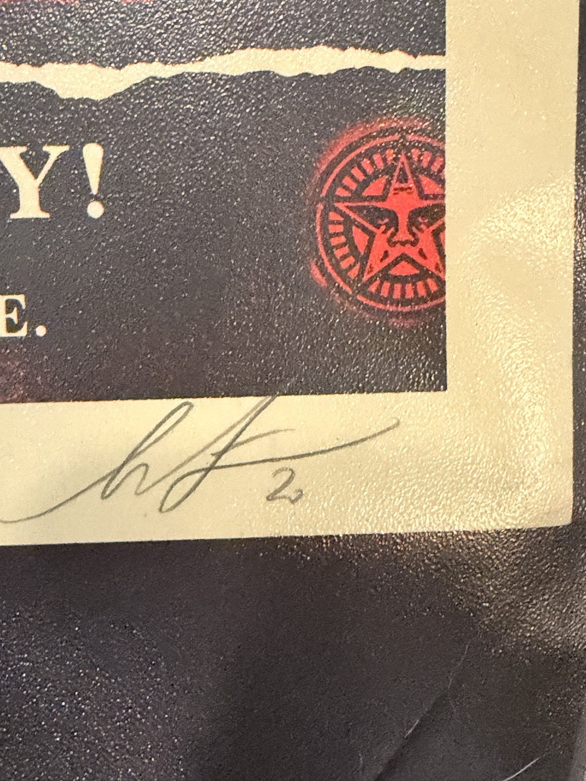 Shepard Fairey x NoName The Greed Depression 2020 Dual Signed Print 25/300 — listing photograph 3