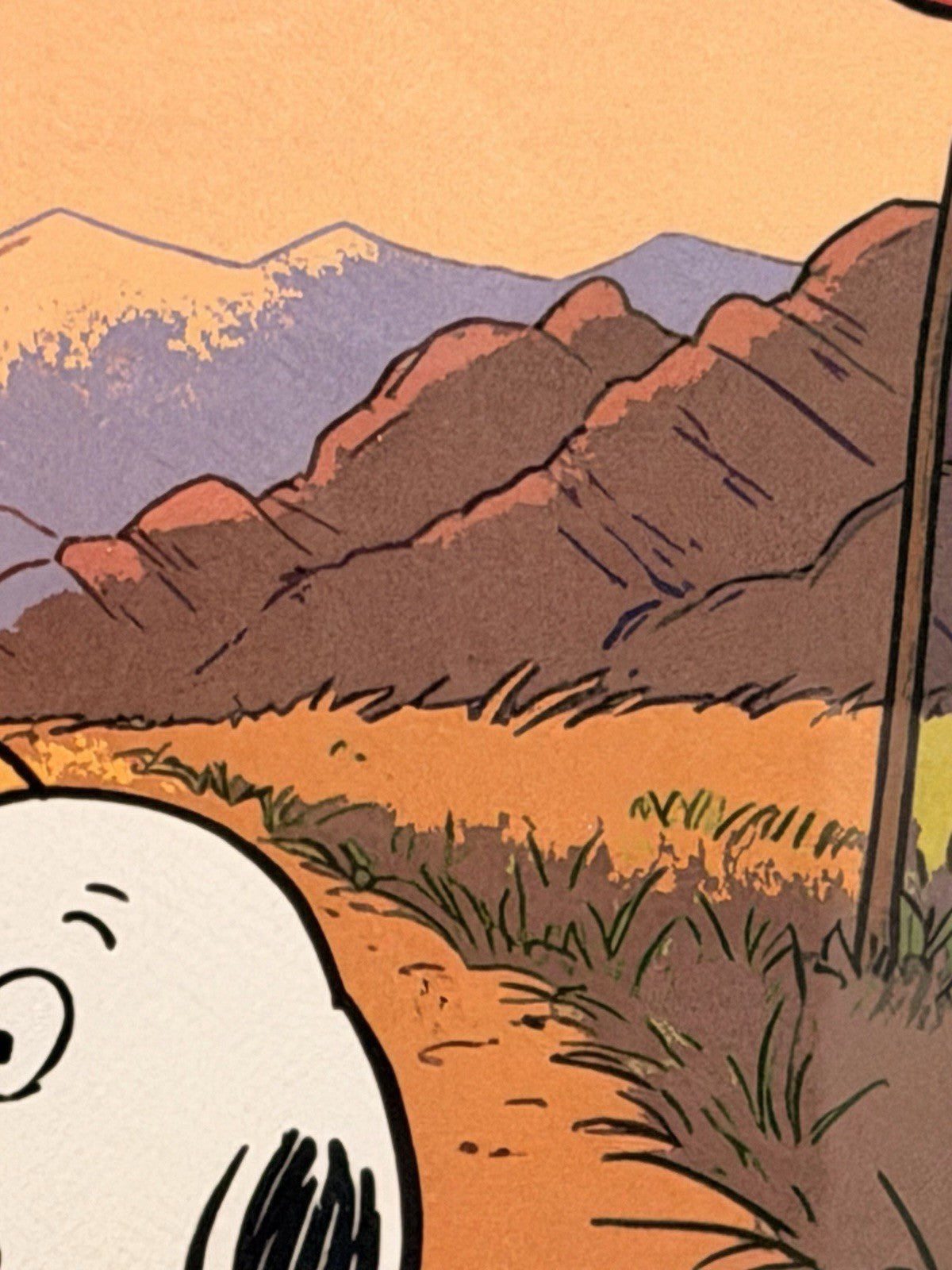 Death NYC — Snoopy American Flag Desert Framed - Gauntlet Gallery