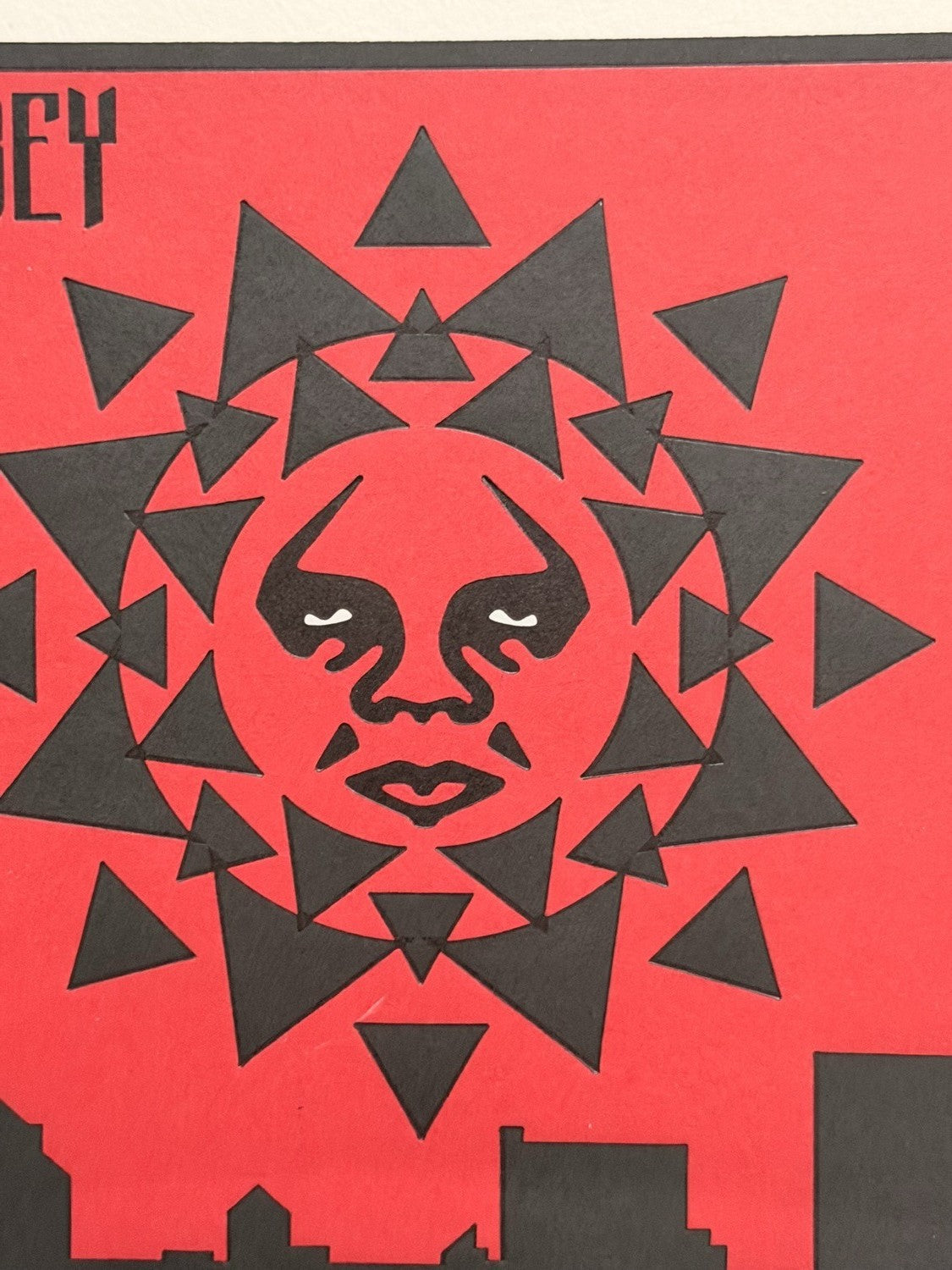 Shepard Fairey The Laws of Physics Signed Numbered 113/1000 OBEY Giant Art