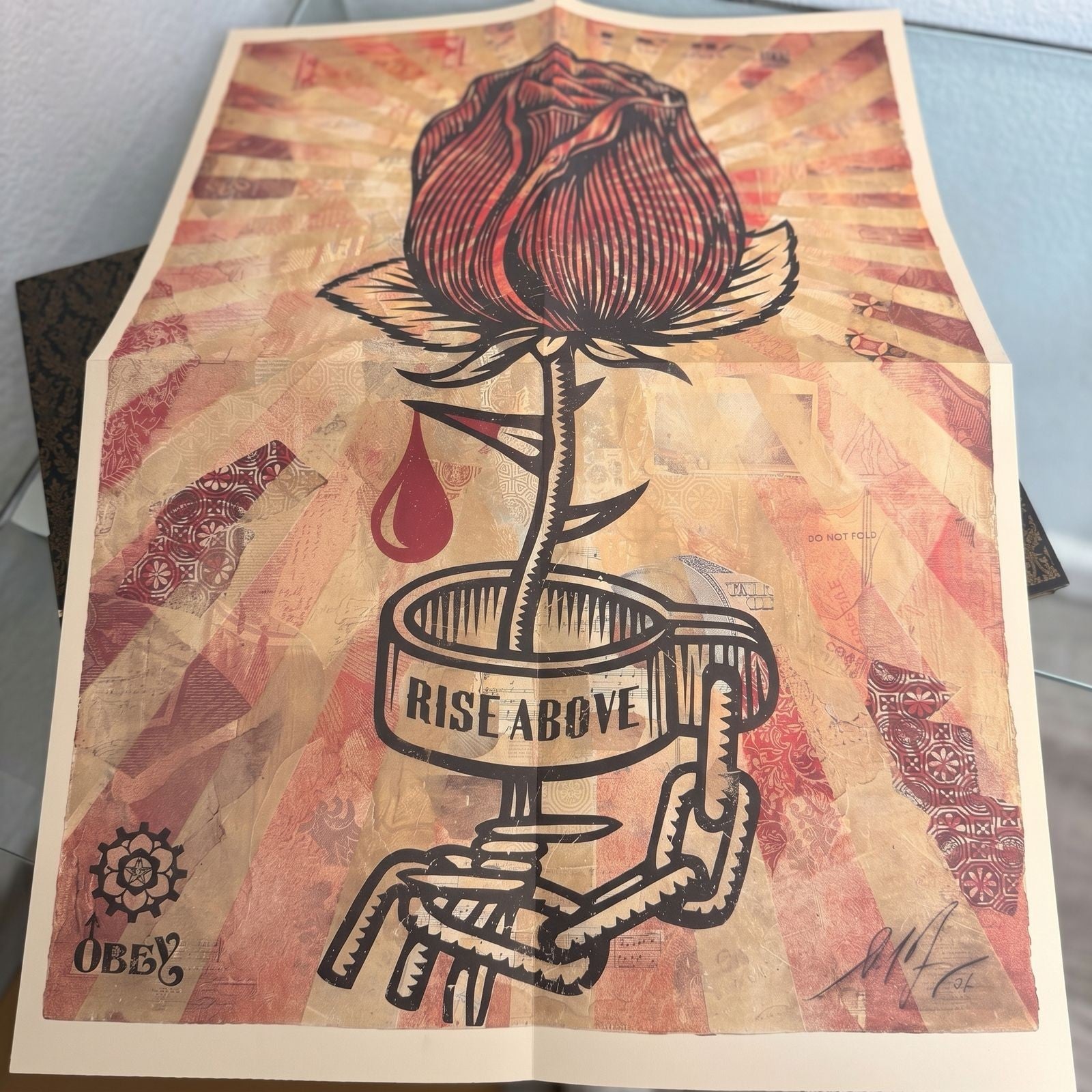 Signed Shepard Fairey OBEY Book with Rise Above Poster - Urban Art Collectible