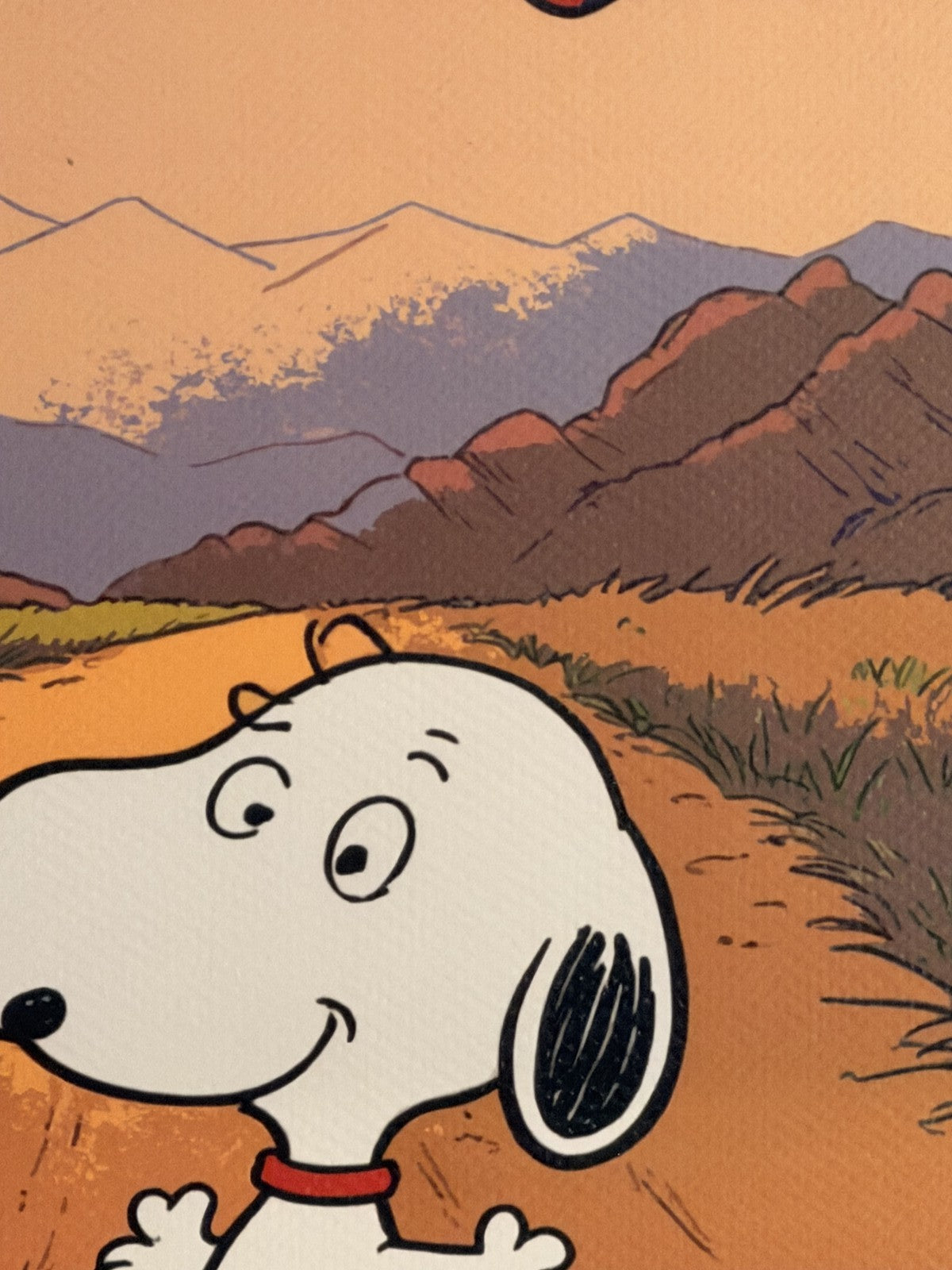 Death NYC Snoopy Desert Flag Signed Numbered COA FRAMED Peanuts Pop Art Litho