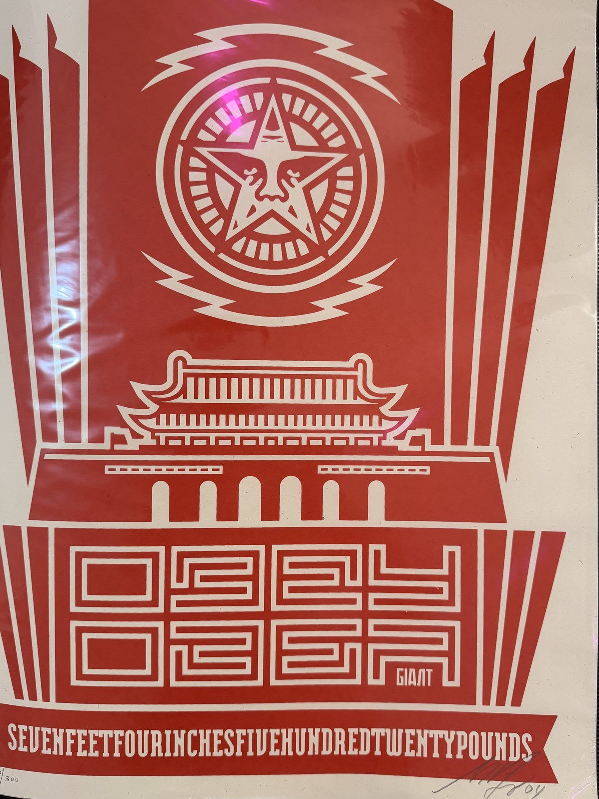 Shepard Fairey Chinese Banner Signed Numbered 20/300 Screen Print 2004 OBEY