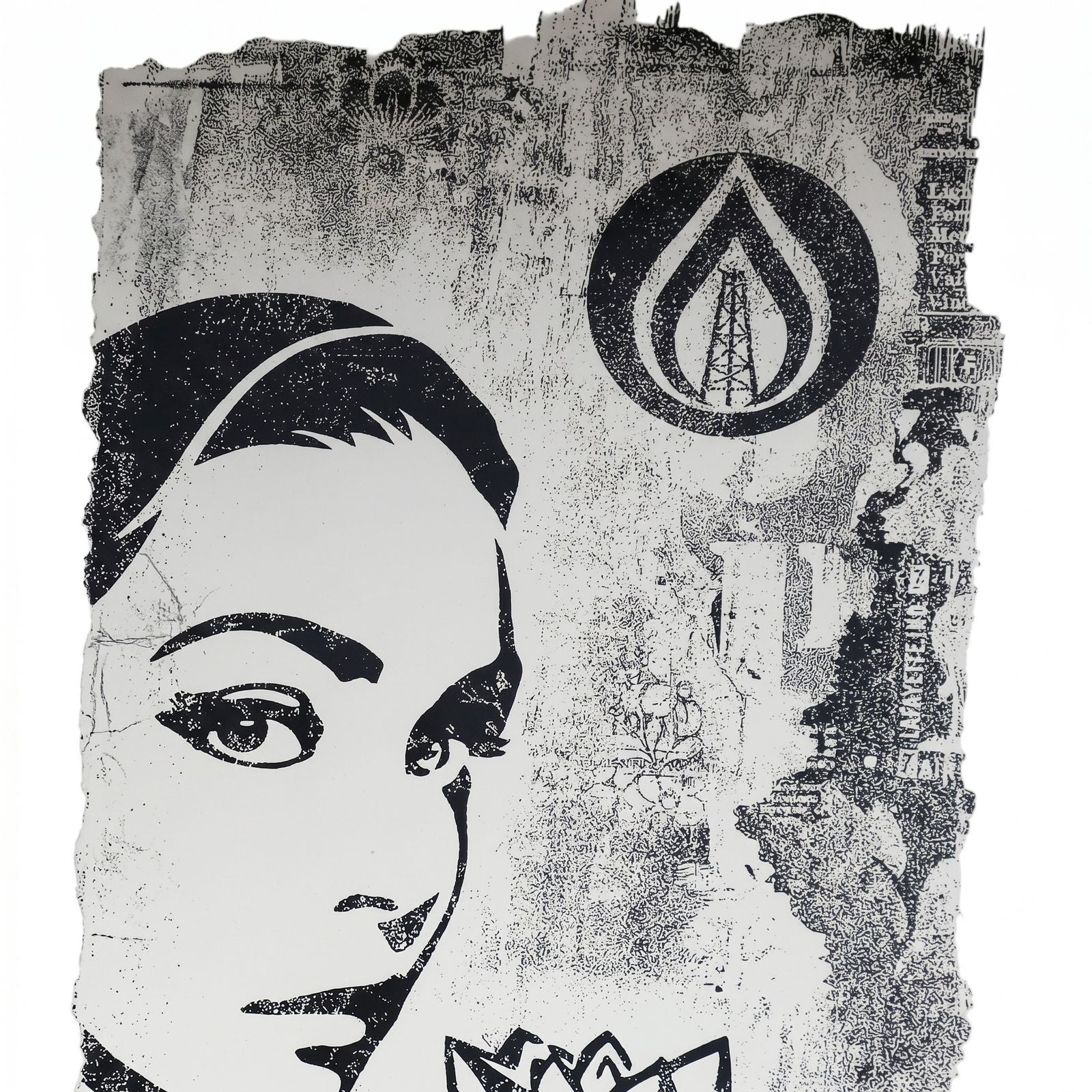 Shepard Fairey Natural Springs 2017 Signed Limited Edition Print 18x24 Art