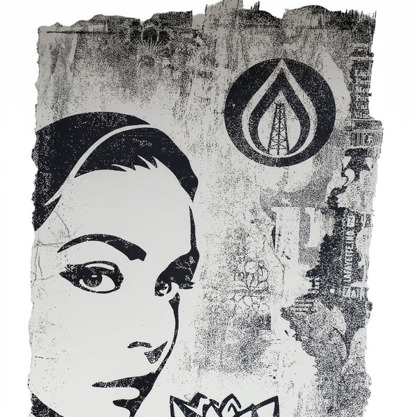 Shepard Fairey Natural Springs 2017 Signed Limited Edition Print 18x24 Art