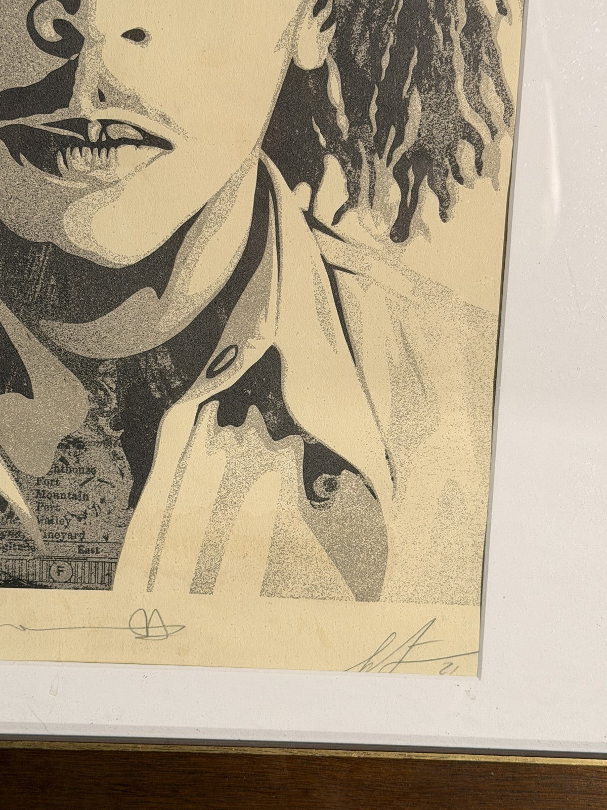 Shepard Fairey Bob Marley Signed Numbered Screen Print 2014 OBEY Framed #11