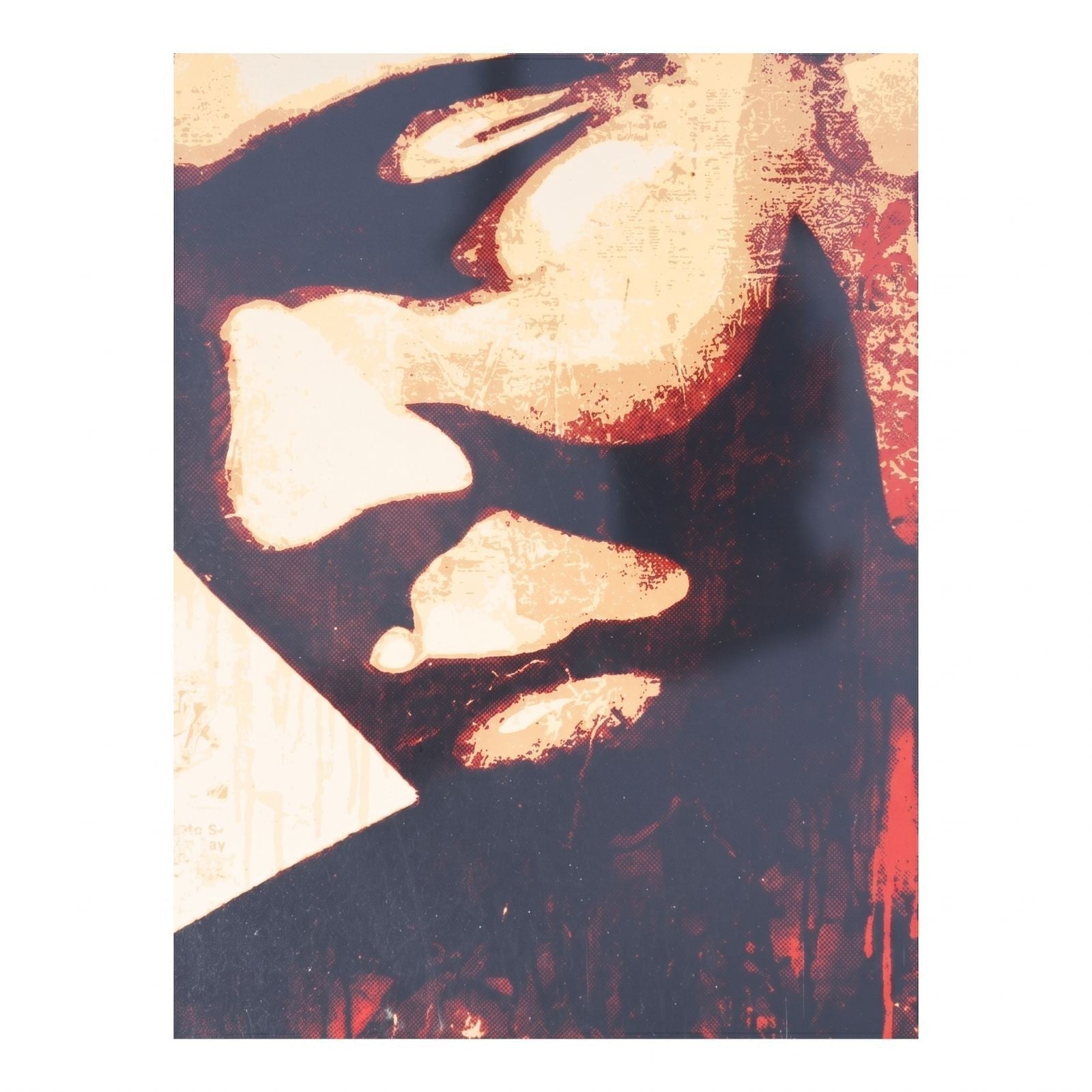 Shepard Fairey Ali Canvas Print 2010 Obey Giant Signed Print - Gauntlet Gallery