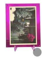 Death NYC Snoopy & Woodstock Limited Ed Print in Hot Pink Acrylic Frame