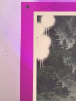 Death NYC Snoopy & Woodstock Limited Ed Print in Hot Pink Acrylic Frame