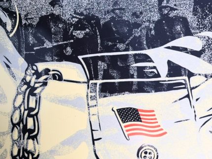 Shepard Fairey OBEY Democracy Under Siege Screen Print Signed 2021 #281/800